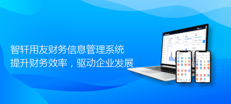用友财务信息管理系统